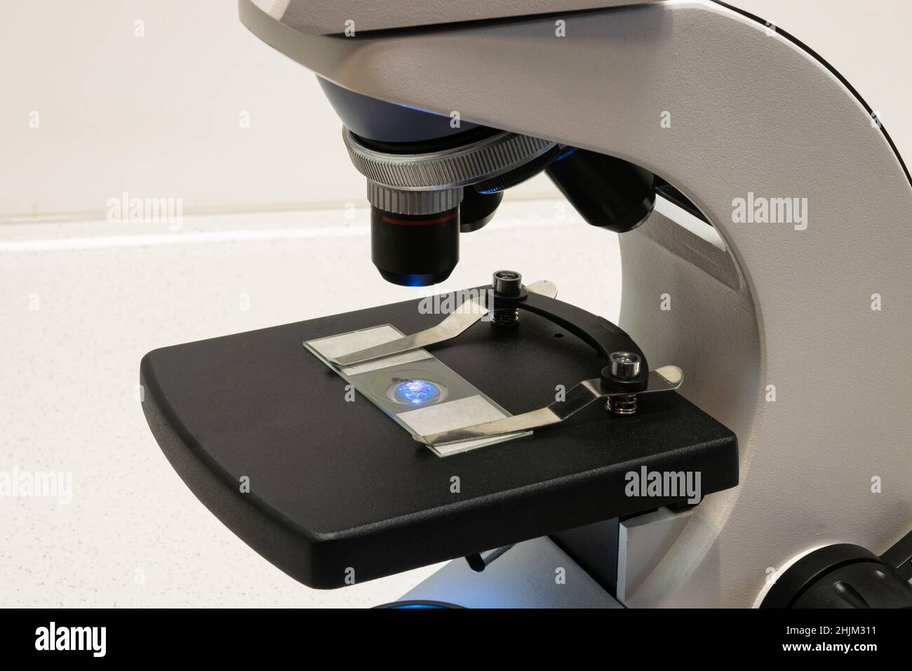 Eine Probenvorbereitung liegt unter dem Okular eines Mikroskops für wissenschaftliche Forschungszwecke oder Bildungszwecke Stockfoto