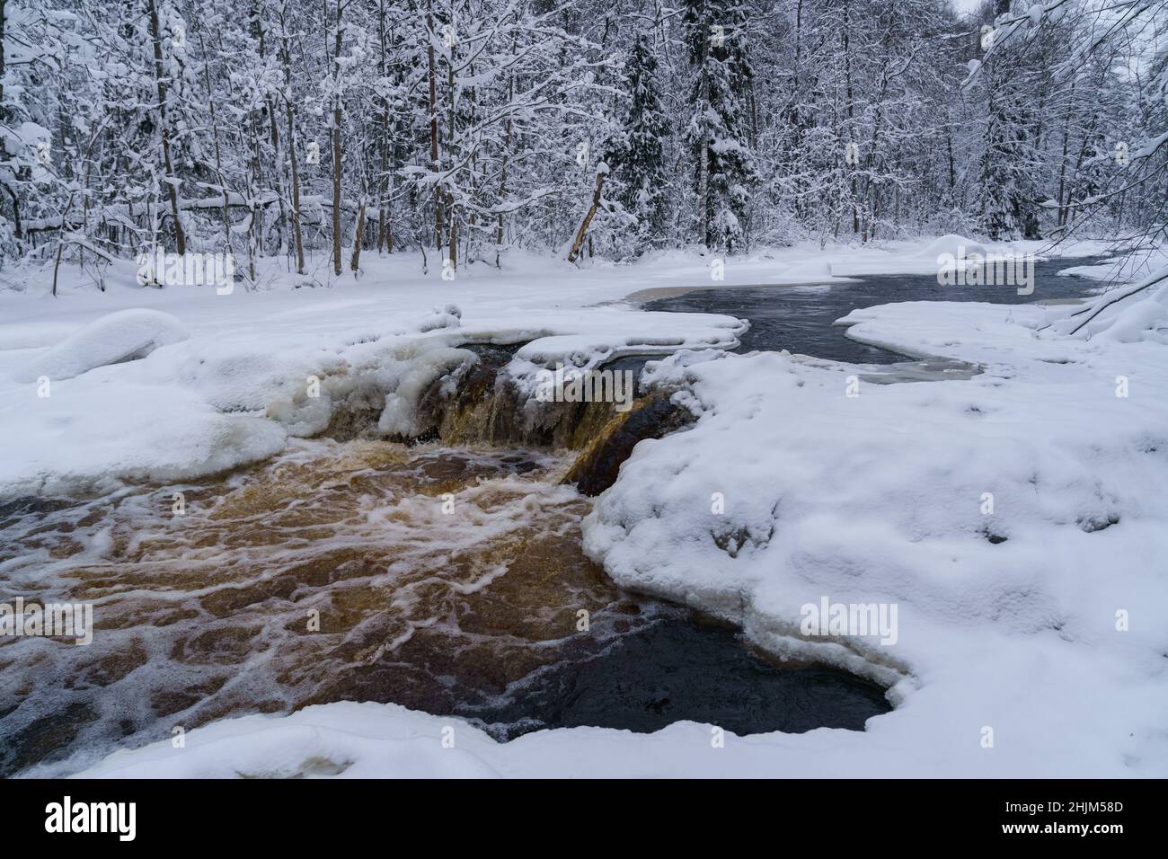 Eisfrei laufender Fluss im verschneiten Wald an einem düsteren kalten Wintertag Stockfoto