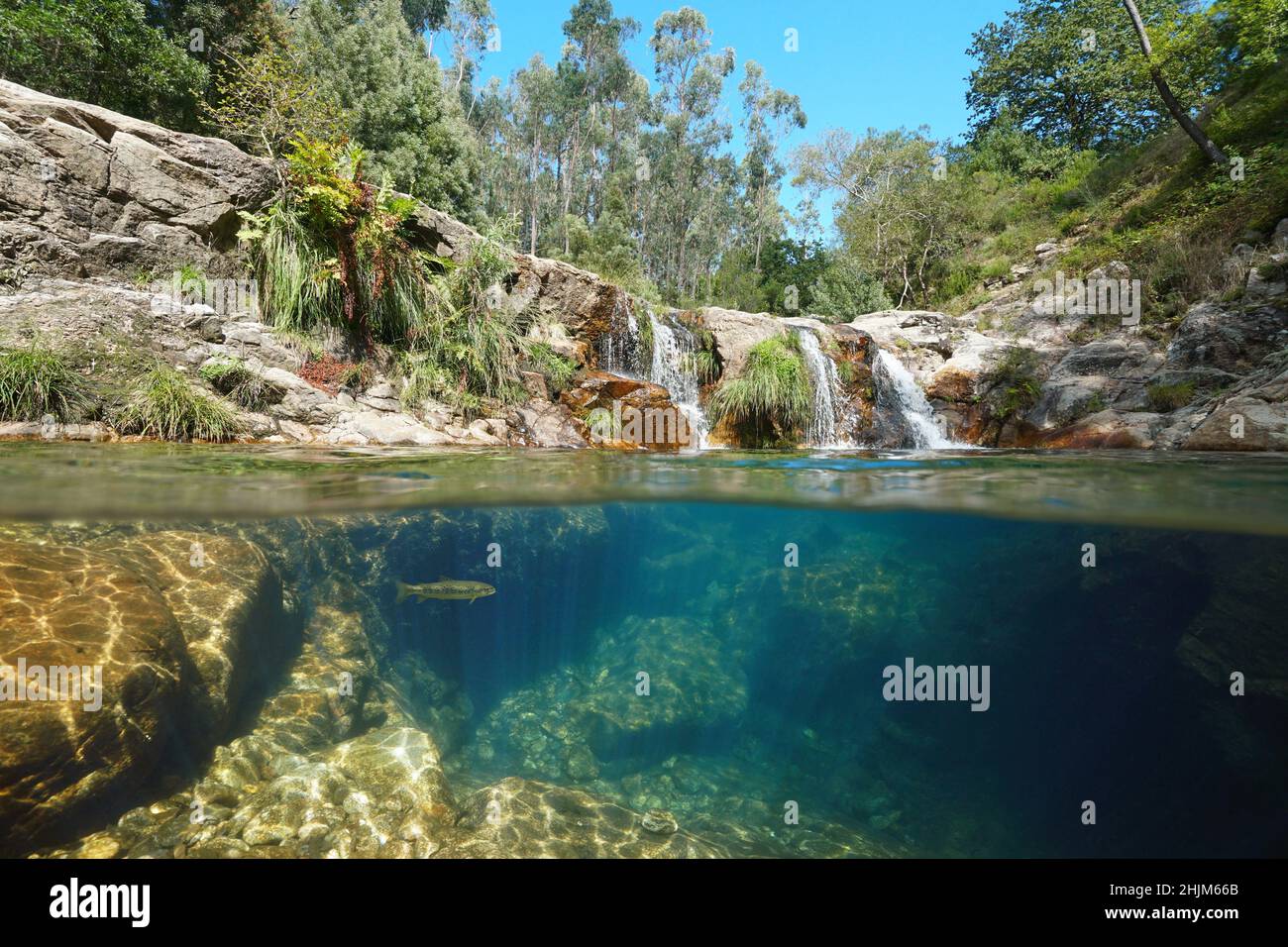 Wildbach mit kleinem Wasserfall und klarem Wasser, Split-Level-Blick über und unter Wasser, Flusslandschaft, Spanien, Galizien, Pozas de Bugalleira Stockfoto