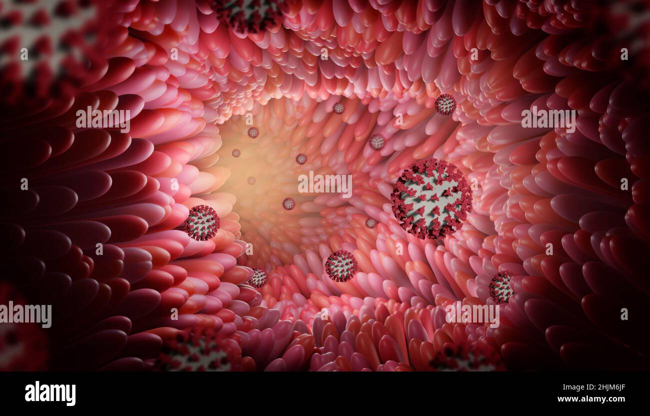 3D medizinisch akkurate Darstellung der Darmzotten mit Corona-Virus in einem Gesundheitskonzept. Mikrobiologie, Anatomie, Biologie, Wissenschaft, Stockfoto