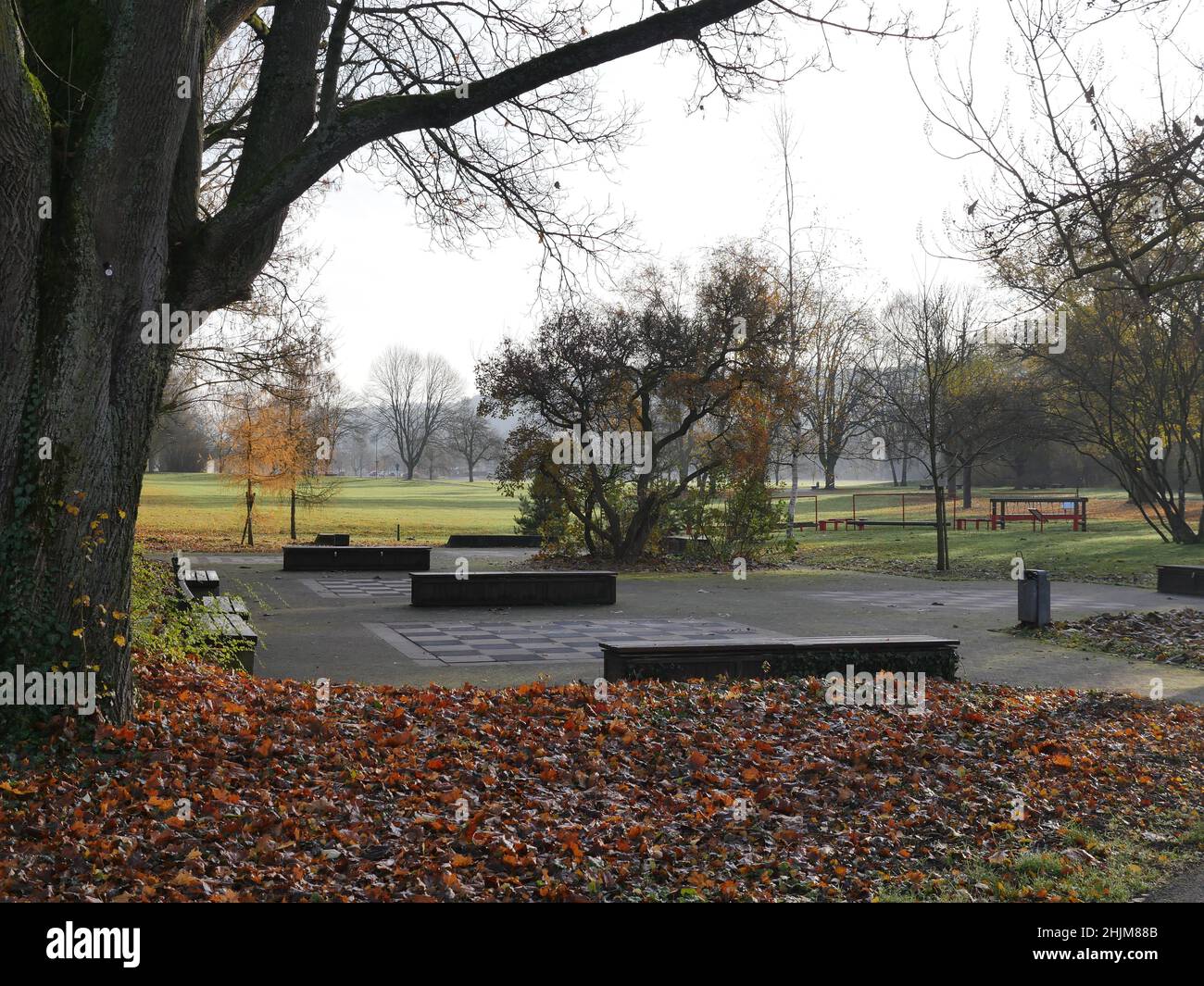 Blick in einen Park, mit Bänken, Wegen, Platz, Bäumen im Herbst Stockfoto