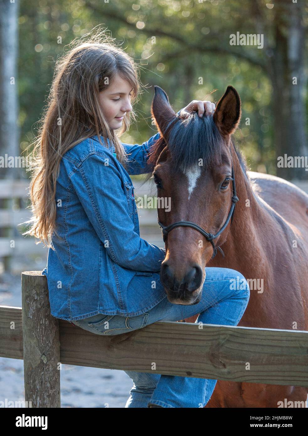 Das 11-jährige Mädchen verbindet sich mit der Pferdestute Stockfoto