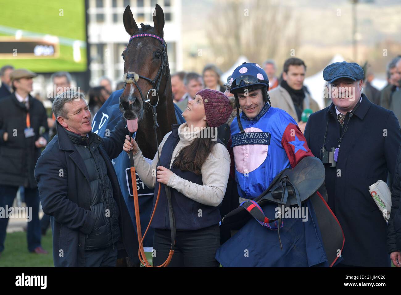 Rennen auf der Cheltenham Racecourse, Prestbury Park am Festival Trials Day im Januar vor dem Cheltenham Gold Cup Festival im März. Sechstes Rennen 3,0 Stockfoto