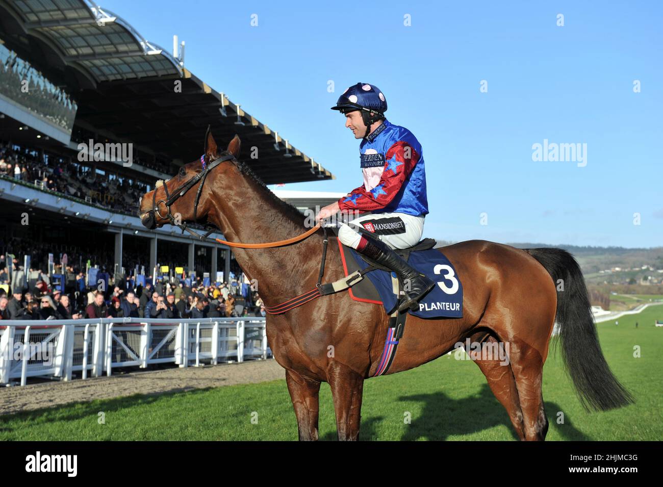 Rennen auf der Cheltenham Racecourse, Prestbury Park am Festival Trials Day im Januar vor dem Cheltenham Gold Cup Festival im März. Sechstes Rennen 3,0 Stockfoto