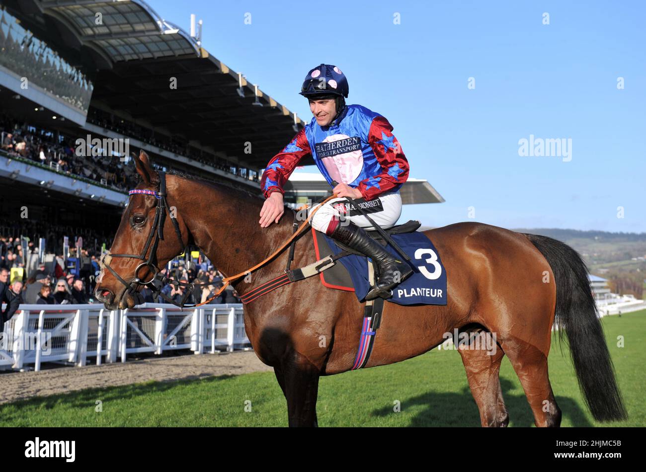 Rennen auf der Cheltenham Racecourse, Prestbury Park am Festival Trials Day im Januar vor dem Cheltenham Gold Cup Festival im März. Sechstes Rennen 3,0 Stockfoto