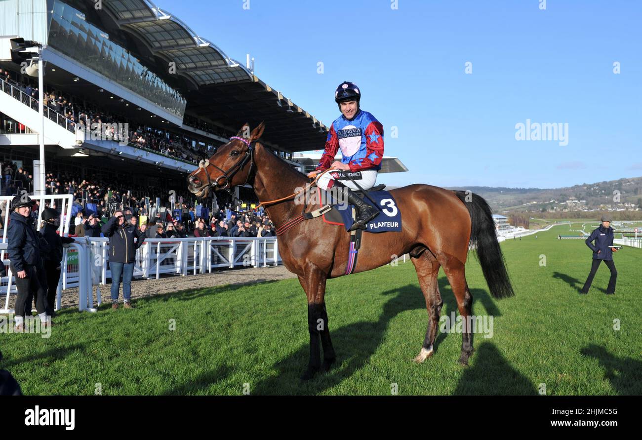 Rennen auf der Cheltenham Racecourse, Prestbury Park am Festival Trials Day im Januar vor dem Cheltenham Gold Cup Festival im März. Sechstes Rennen 3,0 Stockfoto