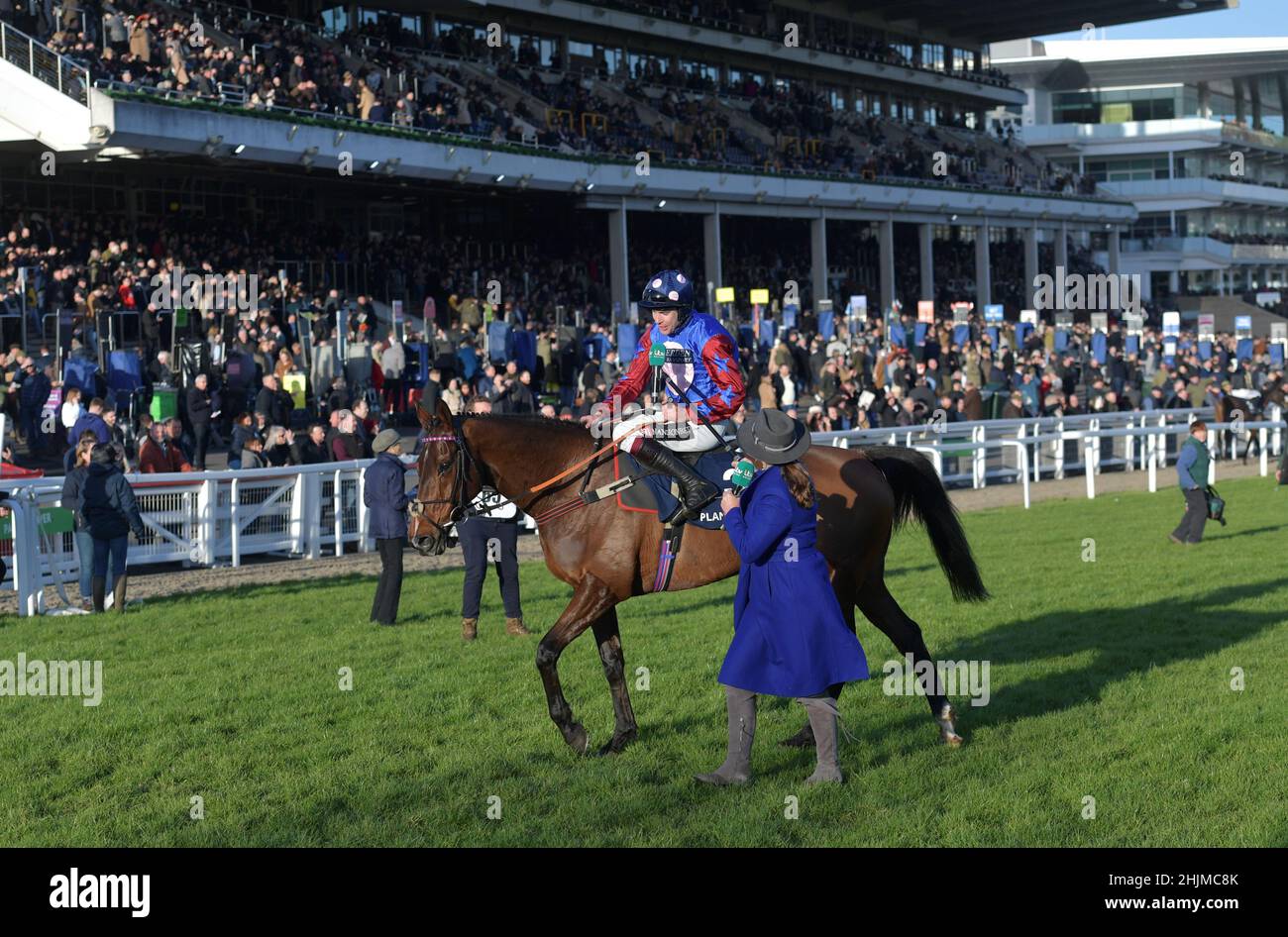 Rennen auf der Cheltenham Racecourse, Prestbury Park am Festival Trials Day im Januar vor dem Cheltenham Gold Cup Festival im März. Sechstes Rennen 3,0 Stockfoto