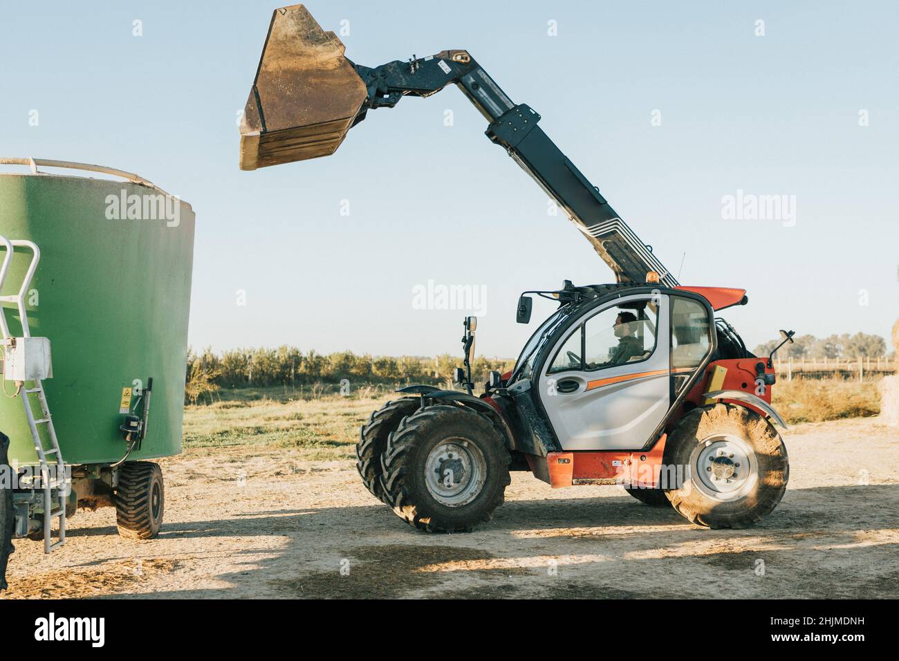 Der Fahrer fährt den Traktor nach dem Umdrehen des Vorschubs im Behälter zurück Stockfoto