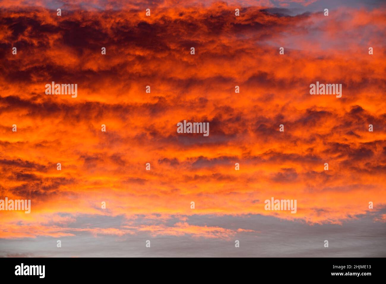 Details von Wolken während des Sonnenuntergangs beleuchtet von unten mit orangefarbenem Licht Stockfoto