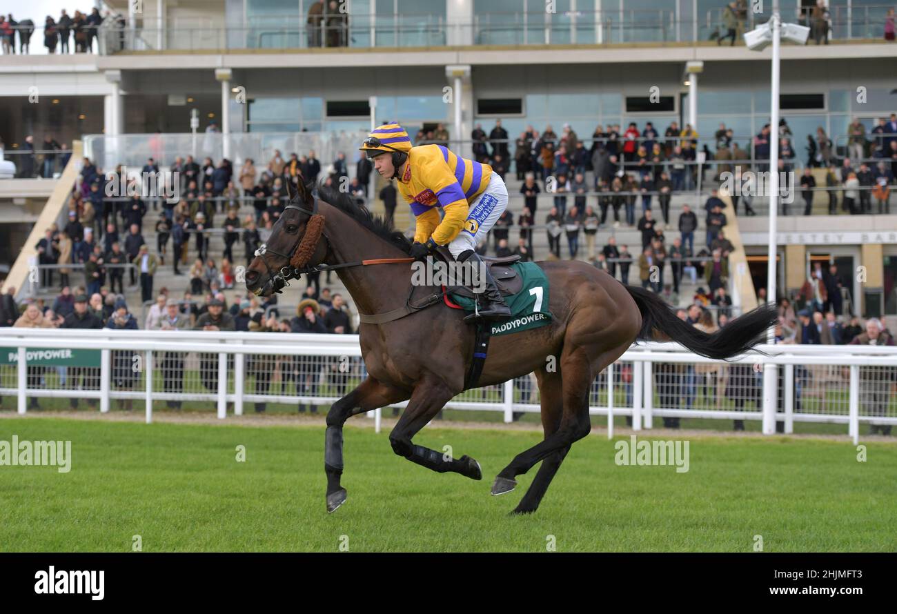 Rennen auf der Cheltenham Racecourse, Prestbury Park am Festival Trials Day im Januar vor dem Cheltenham Gold Cup Festival im März. Viertes Rennen 1. Stockfoto