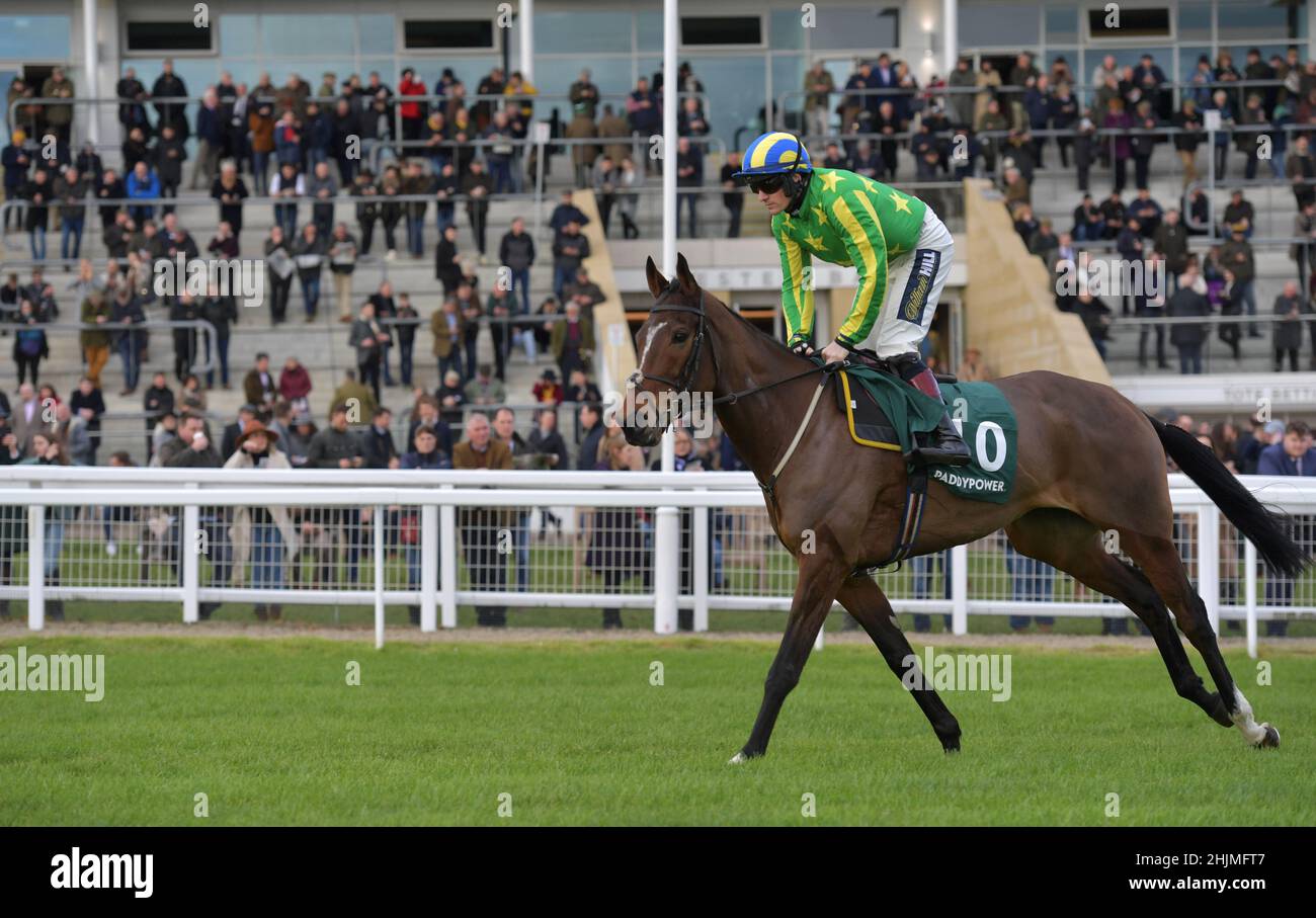 Rennen auf der Cheltenham Racecourse, Prestbury Park am Festival Trials Day im Januar vor dem Cheltenham Gold Cup Festival im März. Viertes Rennen 1. Stockfoto