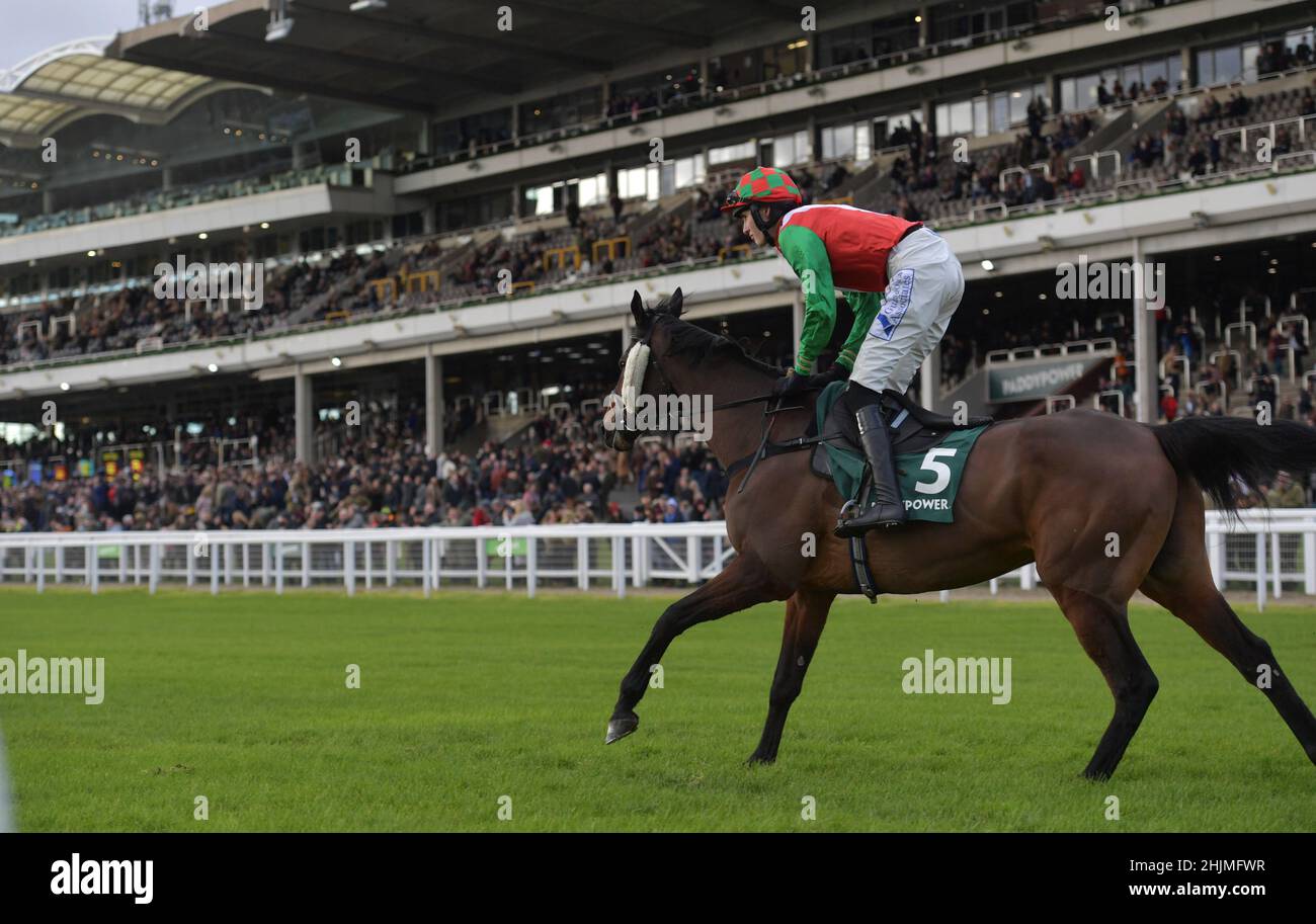 Rennen auf der Cheltenham Racecourse, Prestbury Park am Festival Trials Day im Januar vor dem Cheltenham Gold Cup Festival im März. Viertes Rennen 1. Stockfoto