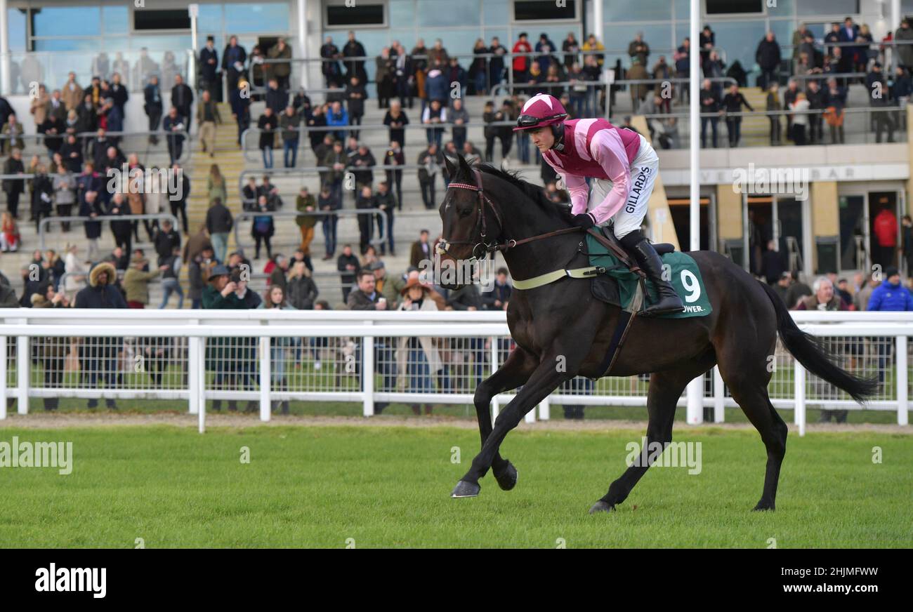 Rennen auf der Cheltenham Racecourse, Prestbury Park am Festival Trials Day im Januar vor dem Cheltenham Gold Cup Festival im März. Viertes Rennen 1. Stockfoto