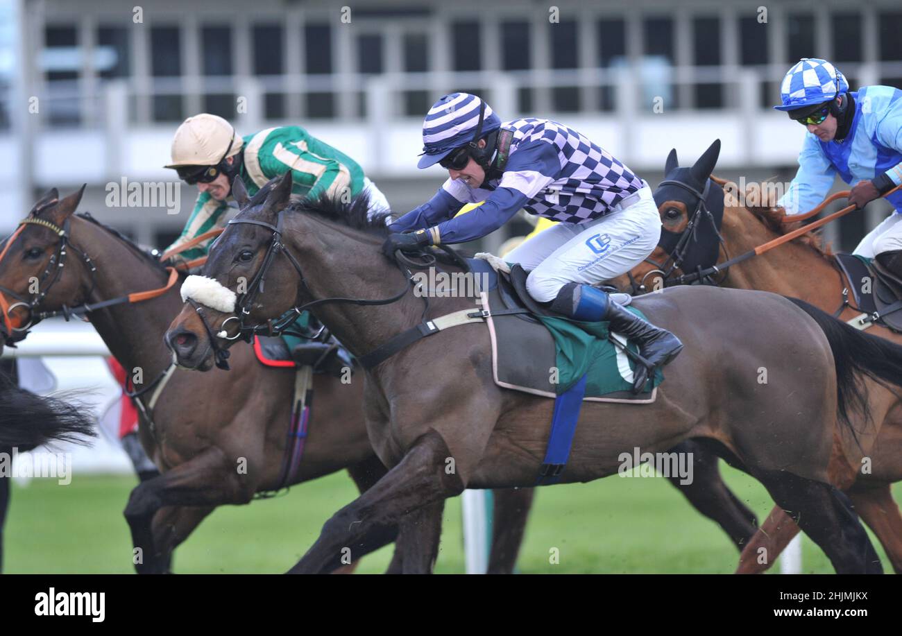 Rennen auf der Cheltenham Racecourse, Prestbury Park am Festival Trials Day im Januar vor dem Cheltenham Gold Cup Festival im März. Pferde machen Stockfoto