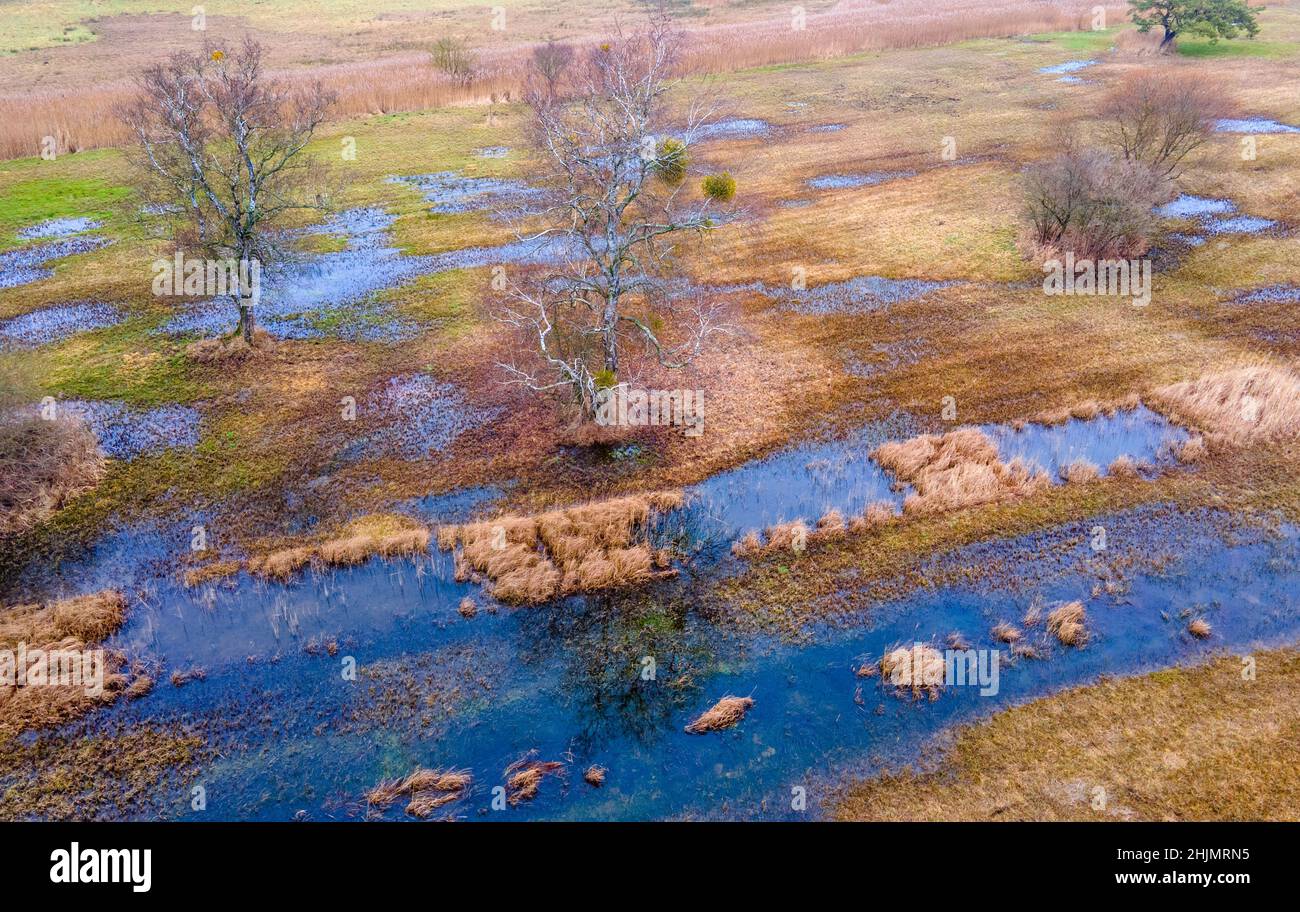 Altentreptow, Deutschland. 25th Januar 2022. Wiesen, Mulden und Schilfbeete bilden das rund 36 Hektar große Quellmoor des Binsenbergs. (Luftaufnahme mit einer Drohne) Wenn Torfböden im erforderlichen Umfang rebenetzt werden, sollte sich die Wasserqualität auch in der Ostsee verbessern. Torfböden fungieren tatsächlich als Nährstofffilter und tragen nicht nur zum Klima- und Artenschutz, sondern auch zur Verbesserung der Wasserqualität bei. Quelle: Jens Büttner/dpa-Zentralbild/dpa/Alamy Live News Stockfoto