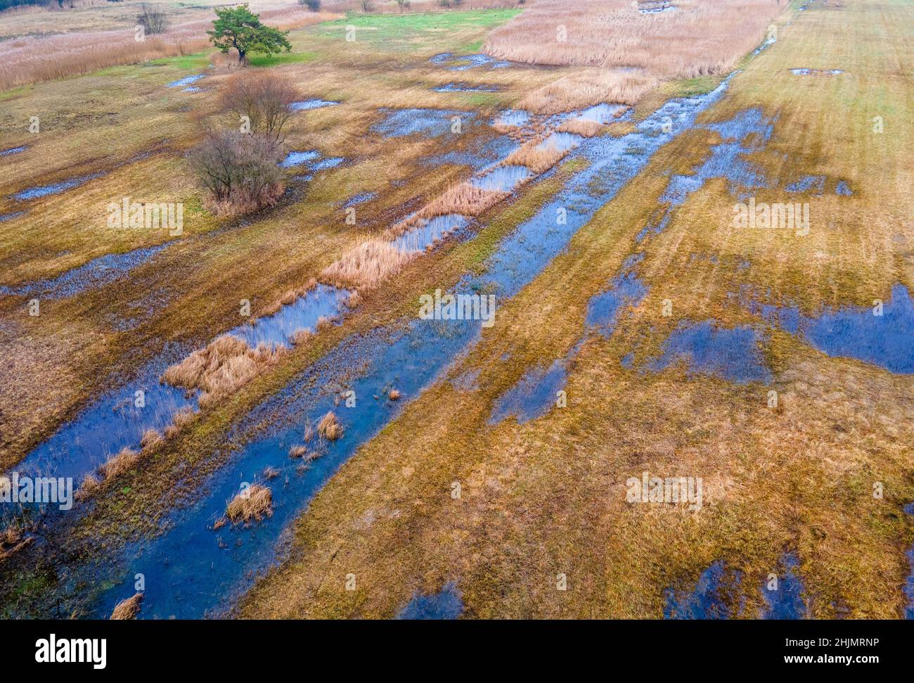 Altentreptow, Deutschland. 25th Januar 2022. Wiesen, Mulden und Schilfbeete bilden das rund 36 Hektar große Quellmoor des Binsenbergs. (Luftaufnahme mit einer Drohne) Wenn Torfböden im erforderlichen Umfang rebenetzt werden, sollte sich die Wasserqualität auch in der Ostsee verbessern. Torfböden fungieren tatsächlich als Nährstofffilter und tragen nicht nur zum Klima- und Artenschutz, sondern auch zur Verbesserung der Wasserqualität bei. Quelle: Jens Büttner/dpa-Zentralbild/dpa/Alamy Live News Stockfoto