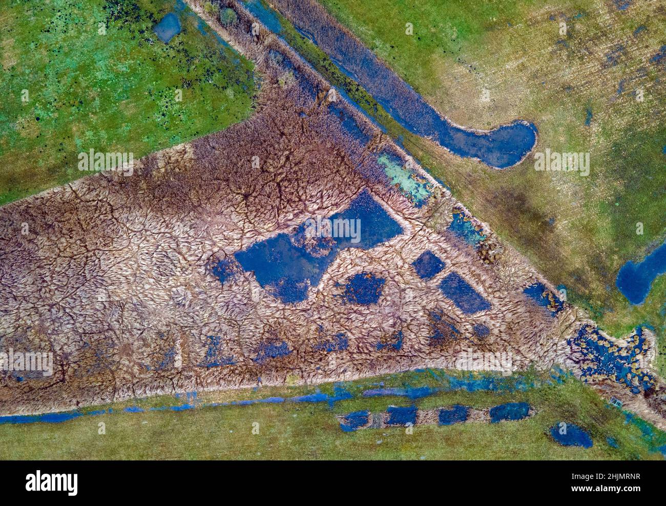 Altentreptow, Deutschland. 25th Januar 2022. Wiesen, Mulden und Schilfbeete bilden das rund 36 Hektar große Quellmoor des Binsenbergs. (Luftaufnahme mit einer Drohne) Wenn Torfböden im erforderlichen Umfang rebenetzt werden, sollte sich die Wasserqualität auch in der Ostsee verbessern. Torfböden fungieren tatsächlich als Nährstofffilter und tragen nicht nur zum Klima- und Artenschutz, sondern auch zur Verbesserung der Wasserqualität bei. Quelle: Jens Büttner/dpa-Zentralbild/dpa/Alamy Live News Stockfoto