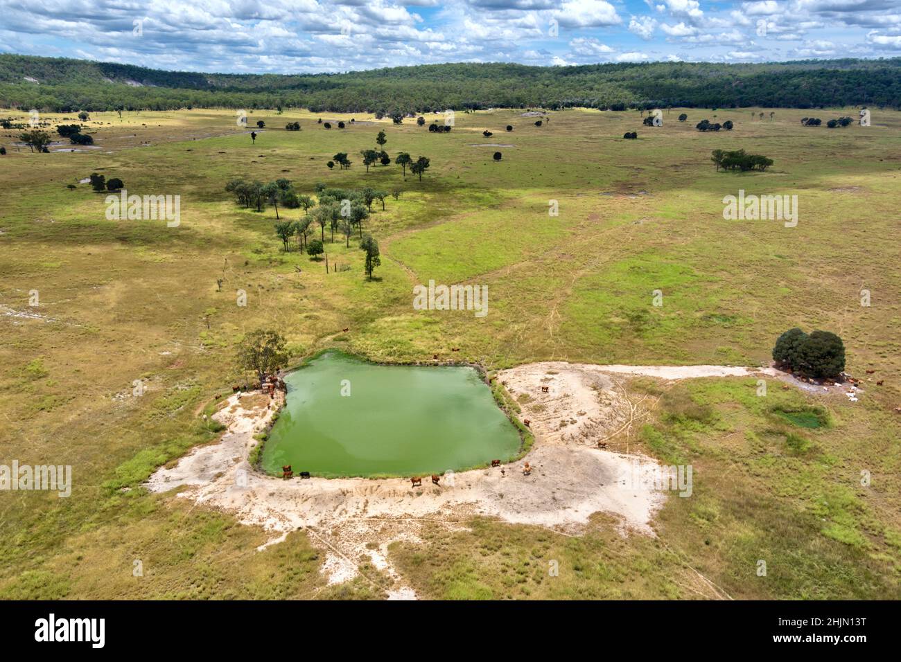 Luftaufnahme eines Erddamms für Weidevieh in der Nähe von Eidsvold Queensland Australien Stockfoto