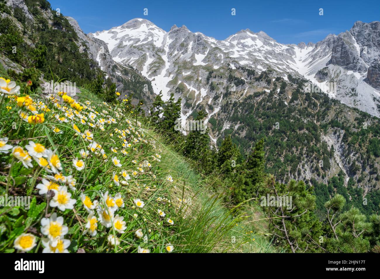 Sommerlandschaft der verfluchten Berge in der Nähe von Theth Dorf, Albanien Stockfoto