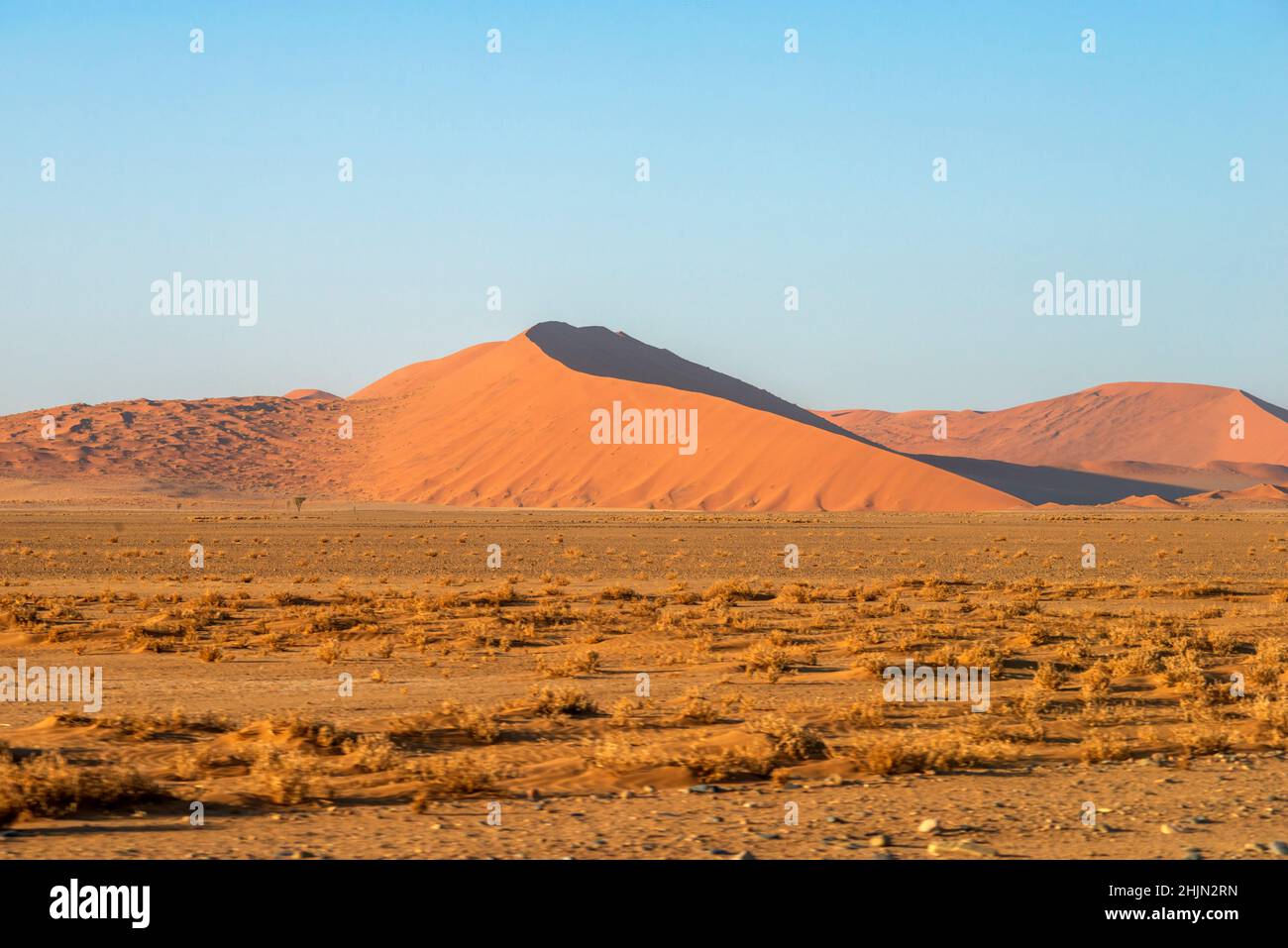 Wüstenlandschaft mit roten Sanddünen in Namibia am sonnigen Morgen Stockfoto