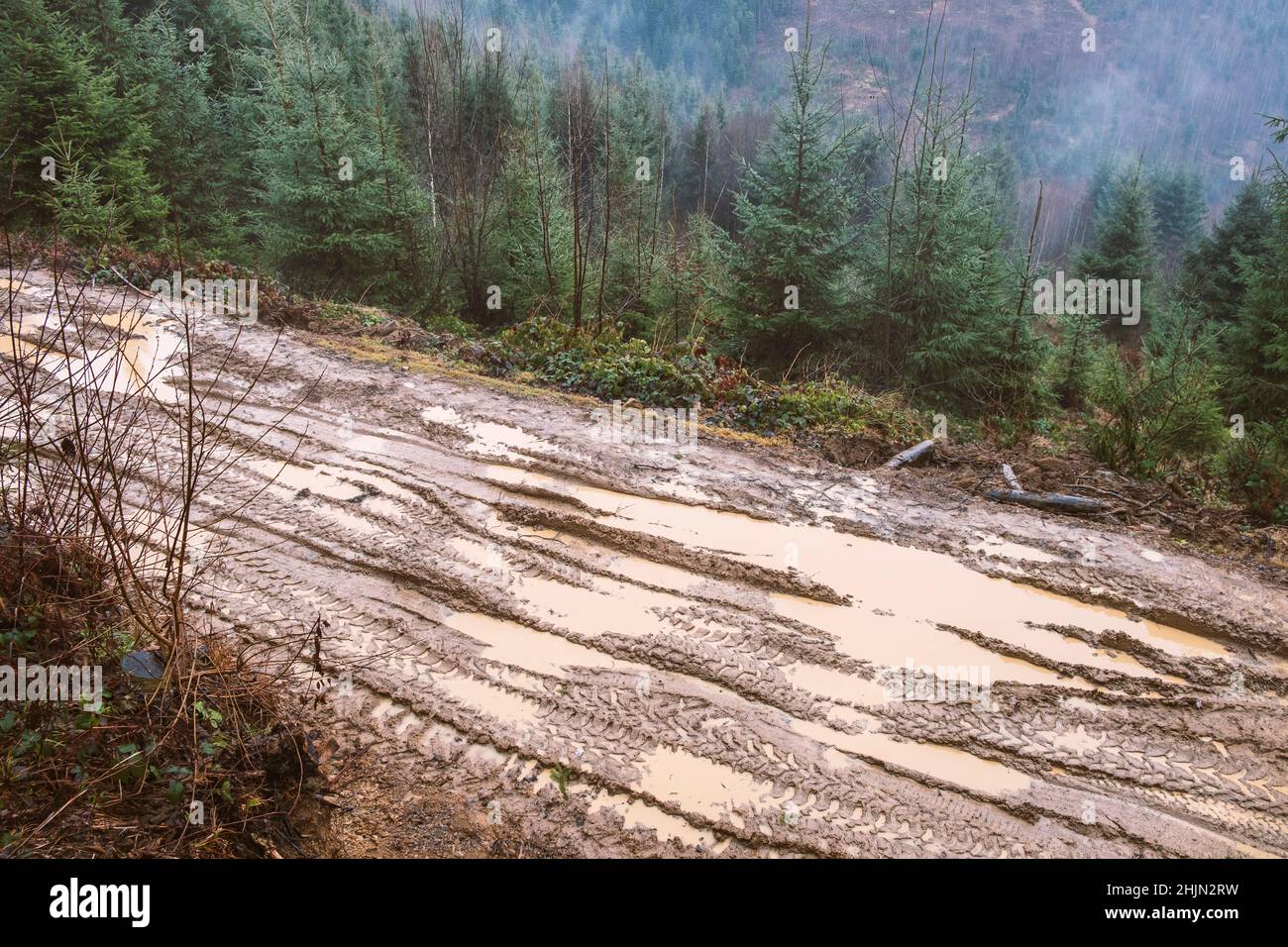 Nasse schmutzige Straße im Herbst in den Karpaten, Ukraine Stockfoto