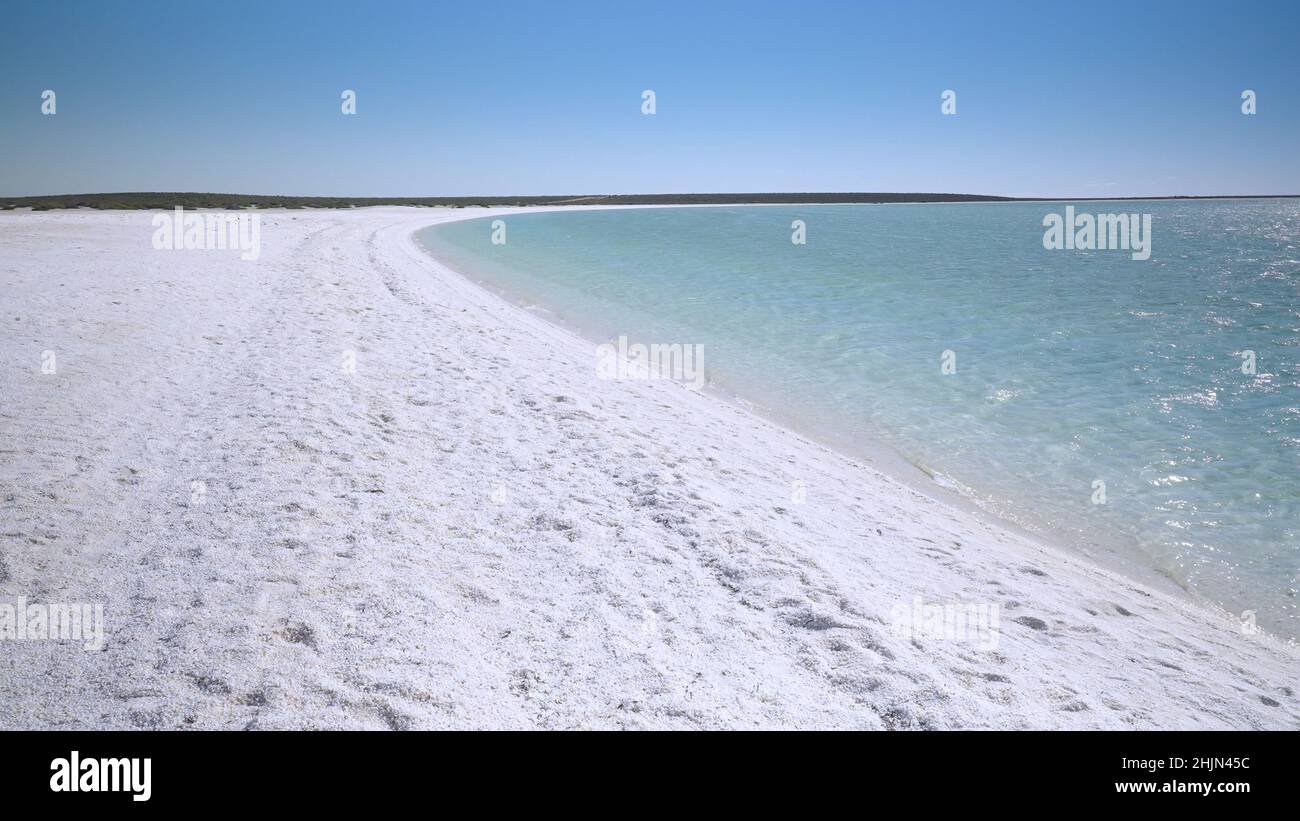 Blick am Nachmittag auf den Muschelstrand an der Shark Bay in westaustralien Stockfoto