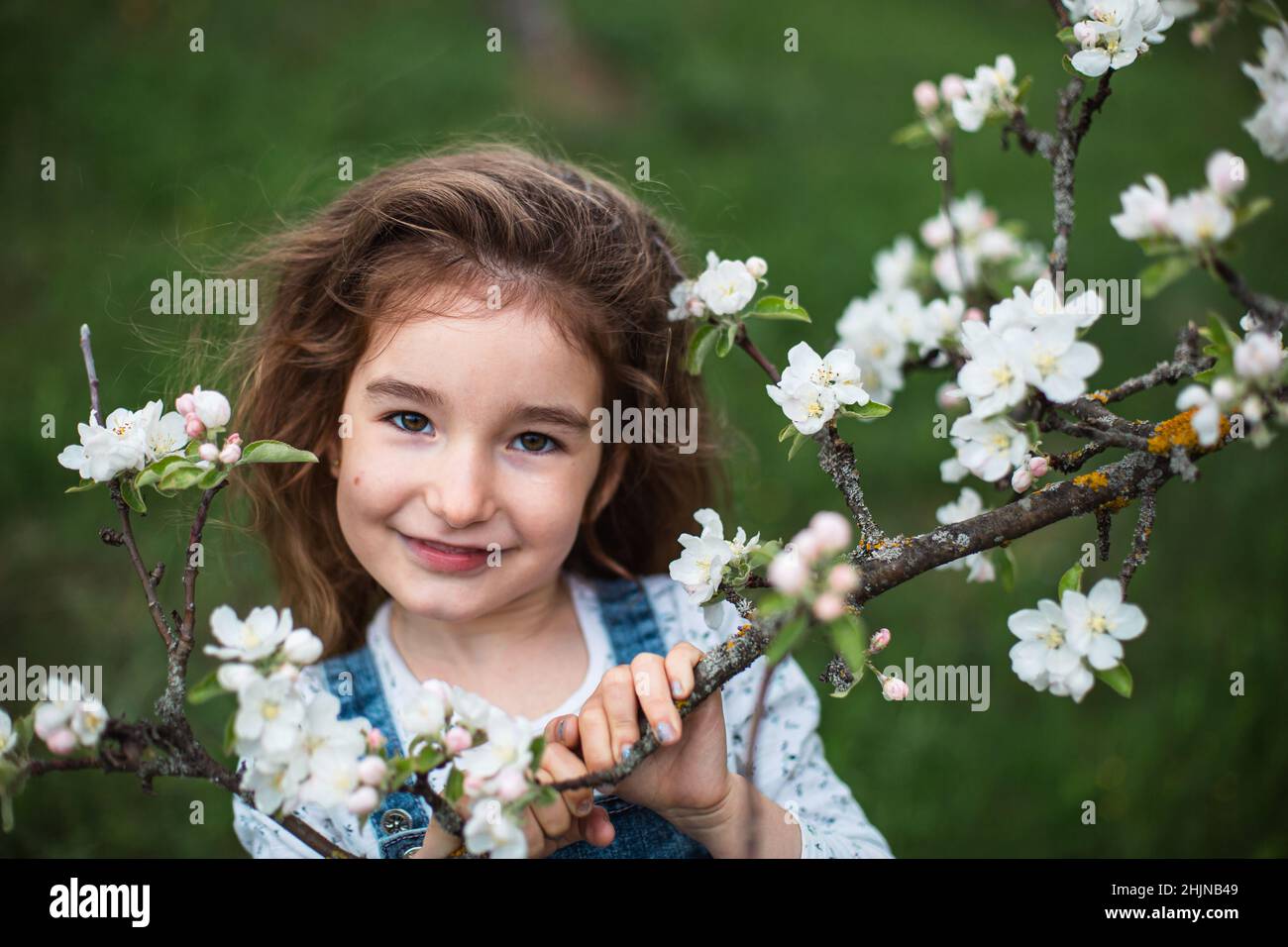 Ein süßes kleines Mädchen von 5 Jahren im Frühling in einem blühenden weißen Apfelgarten. Frühling, Obstgarten, Blüte, Allergie, Frühlingsduft, Zärtlichkeit, Stockfoto