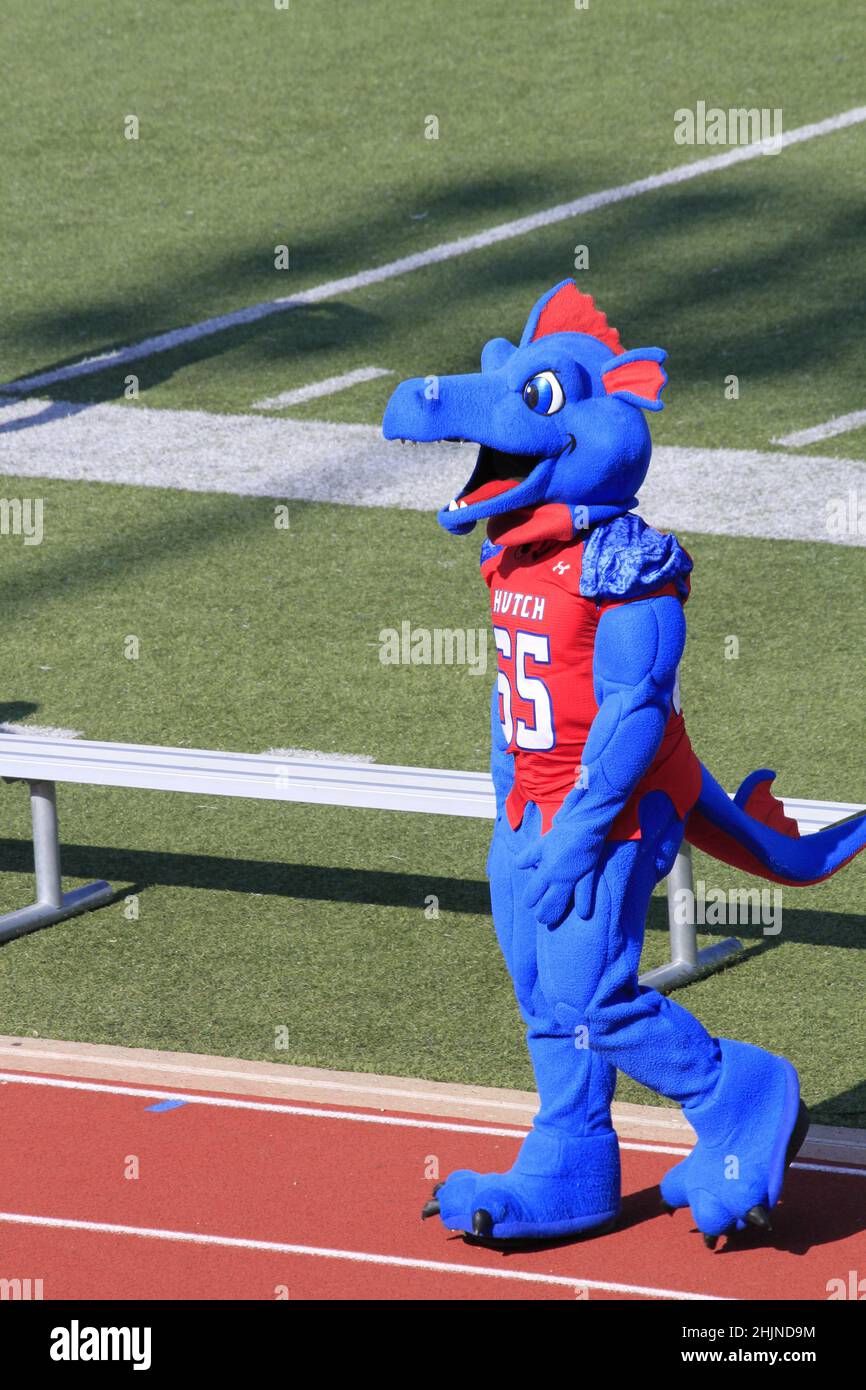 Hutchinson Kansas Blue Dragon Mascot auf einem Fußballfeld Stockfoto
