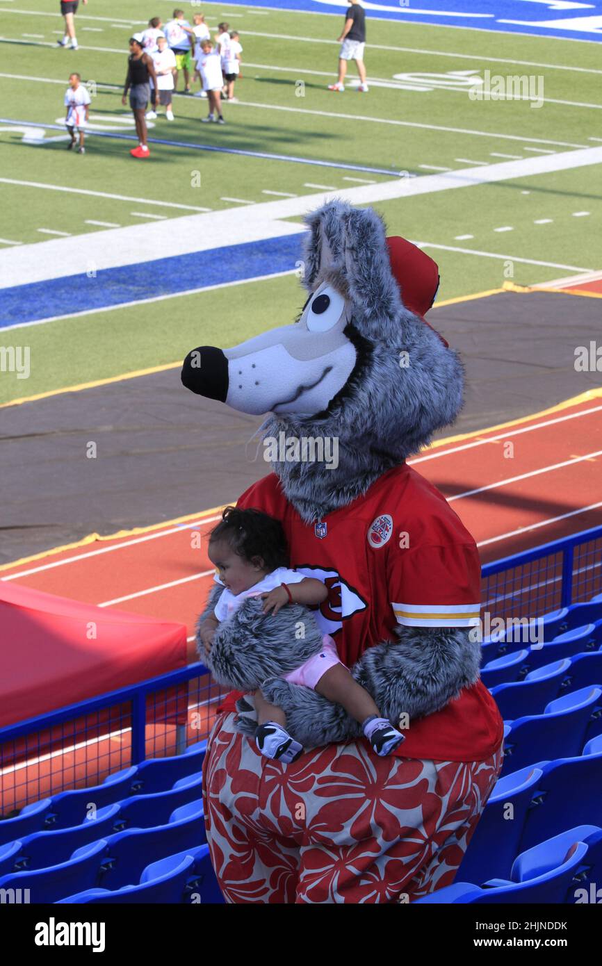 Der Chef von Kansas City ist Mascott auf einem Fußballfeld in Kansas, das an einem farbenfrohen Tag hell und farbenfroh ist. Stockfoto Der Chef von Kansas City ist Mascott auf einem Fußballfeld in Kansas, das an einem farbenfrohen Tag hell und farbenfroh ist. Stockfoto