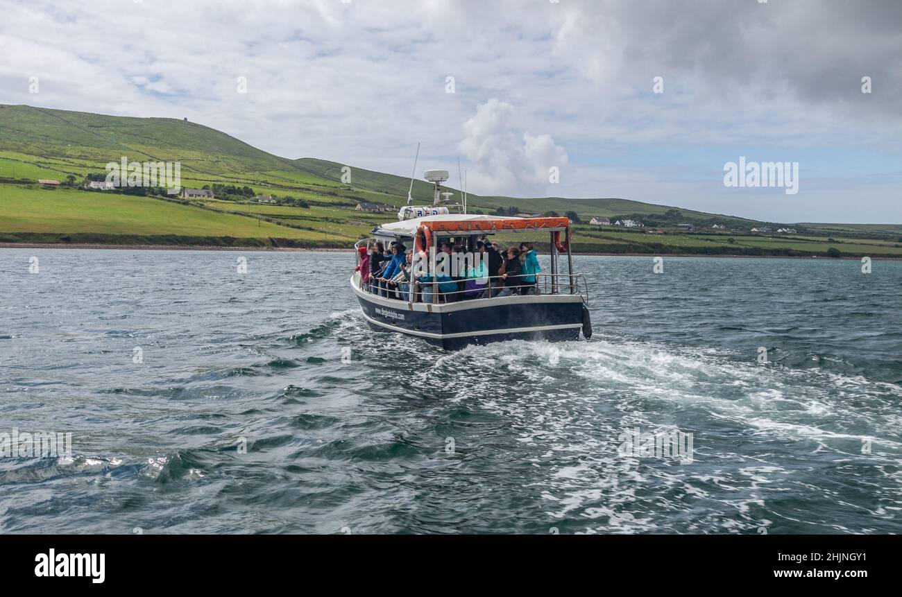 Eine Yacht, ein Fischerboot und ein Touristenschiff im Hafen, rund um die Halbinsel Iveragh im Eine Yacht, ein Fischerboot und ein Touristenschiff im Hafen, rund um die Halbinsel Iveragh im