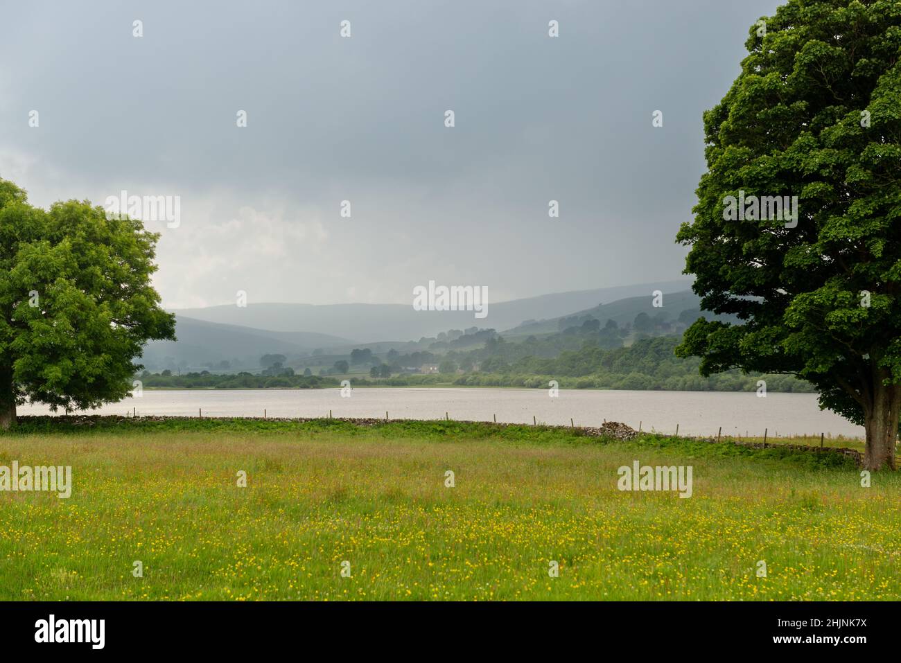 Sommer Blick über eine Wildblumenwiese und Semer Wasser in den Yorkshire Dales an einem bewölkten grauen Tag Stockfoto