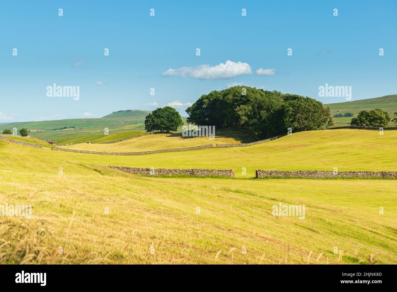 Malerische Aussicht auf geerntete Felder und Wälder in Sedbusk, in der Nähe von Hawes in Wensleydale Stockfoto