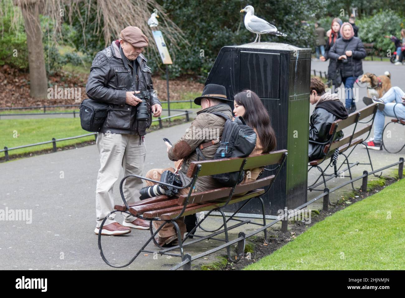 Fotografen überreden ein Mädchen auf einer Bank sitzen, um für Fotos posieren, St. Stephen’s Green Park , Stadt, Straßenfotografie, Dublin, Irland Stockfoto