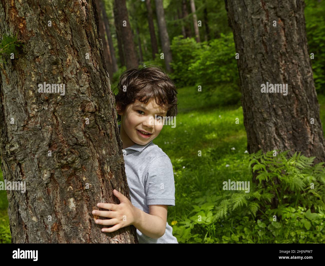 Lächelnder Junge umarmt Baum in einem Wald. Nahaufnahme eines sorglosen Teenagers. Stockfoto