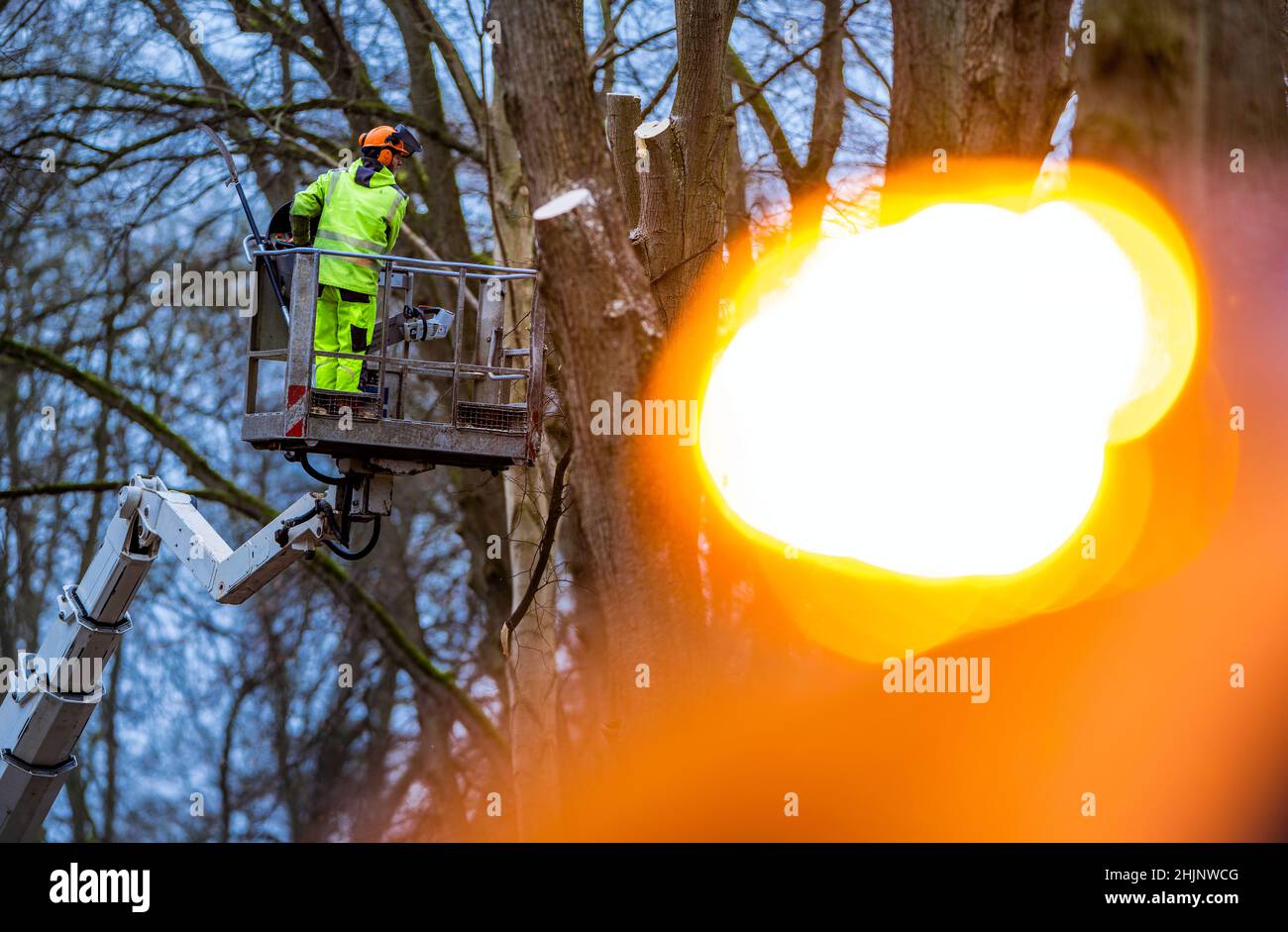 Friedrichsmoor, Deutschland. 31st Januar 2022. Mitarbeiter der Straßenpflege und Baumpflegeunternehmen entfernen lockere Äste und umgestürzte Bäume von einer Straße, die im Landschaftsschutzgebiet Lewitz noch geschlossen ist. Am 29./30. Januar 2022 verursachte der Sturm „Nadia“ zahlreiche Feuerwehreinsätze im Norden und hinterließ schwere Schäden an Gebäuden und in Waldgebieten. Quelle: Jens Büttner/dpa-Zentralbild/dpa/Alamy Live News Stockfoto
