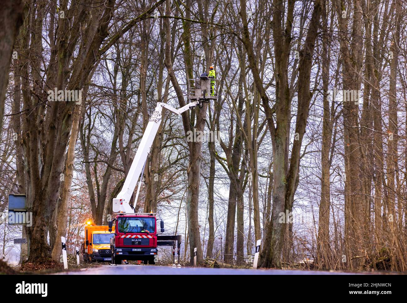 Friedrichsmoor, Deutschland. 31st Januar 2022. Mitarbeiter der Straßenpflege und Baumpflegeunternehmen entfernen lockere Äste und umgestürzte Bäume von einer Straße, die im Landschaftsschutzgebiet Lewitz noch geschlossen ist. Am 29./30. Januar 2022 verursachte der Sturm „Nadia“ zahlreiche Feuerwehreinsätze im Norden und hinterließ schwere Schäden an Gebäuden und in Waldgebieten. Quelle: Jens Büttner/dpa-Zentralbild/dpa/Alamy Live News Stockfoto