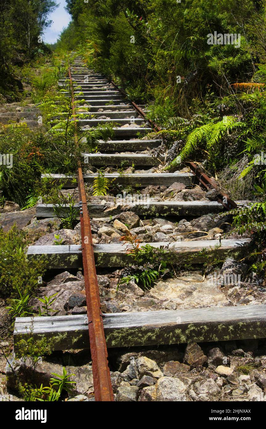 Sehr steile, nicht mehr genutzte Eisenbahnstrecke, die in den 1920er Jahren zum Transport von Kauri-Baumstämmen von den Hügeln zum Kauaeranga Valley, Coromandel, Neuseeland, verwendet wurde. Stockfoto