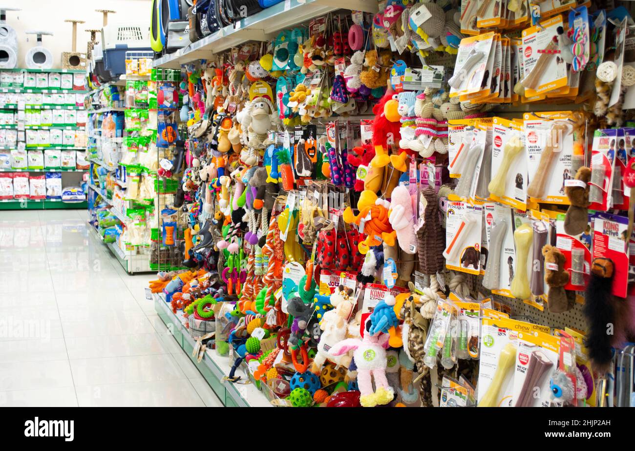 Moskau, Russland, September 2019: PET Store: Regale mit Spielzeug für Tiere, Häuser und Träger. Stockfoto