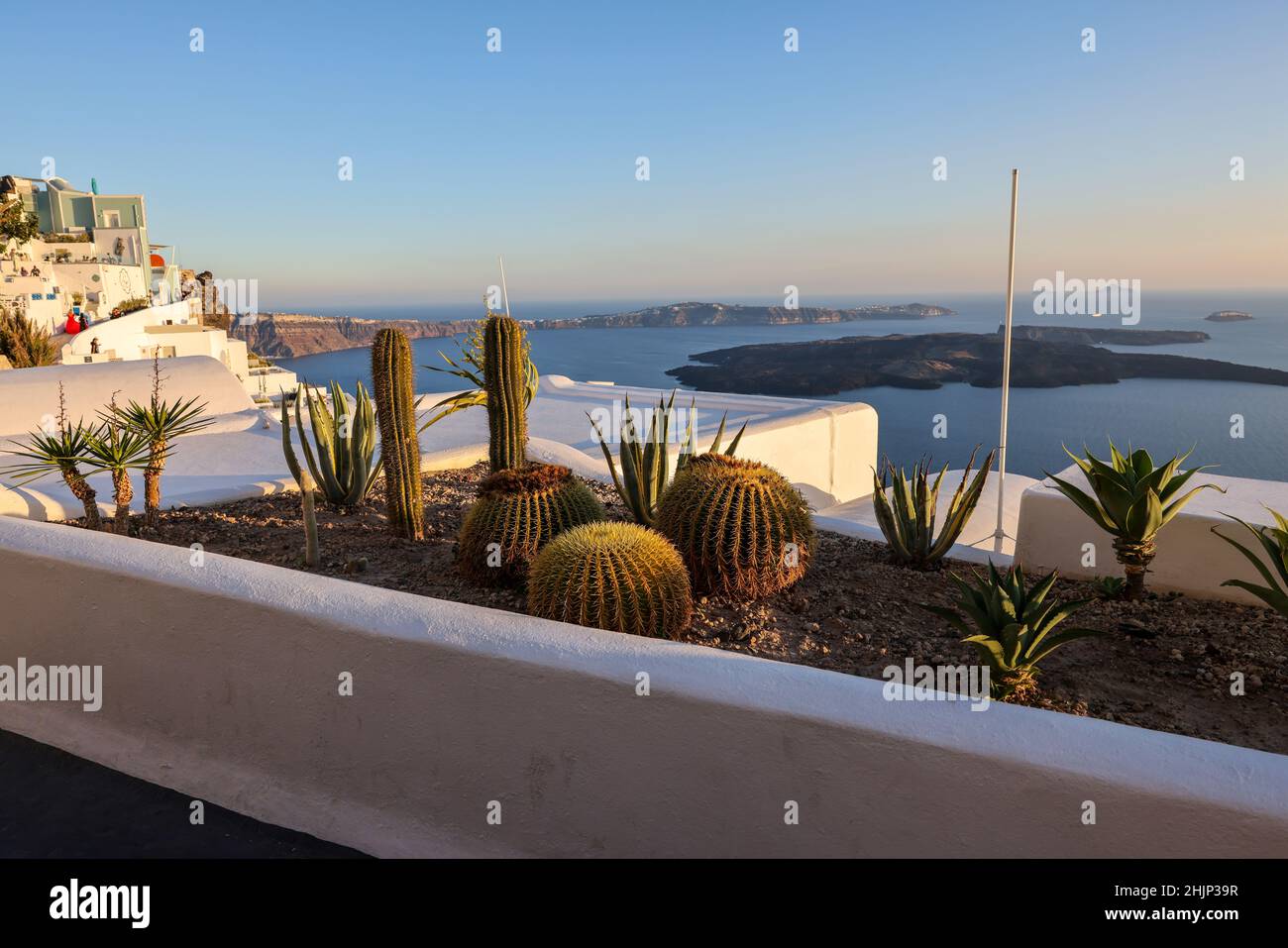 Nahaufnahme von Kakteen und Aloe, die in einem Blumenbeet auf Santorini wachsen. Caldera im Hintergrund. Stockfoto