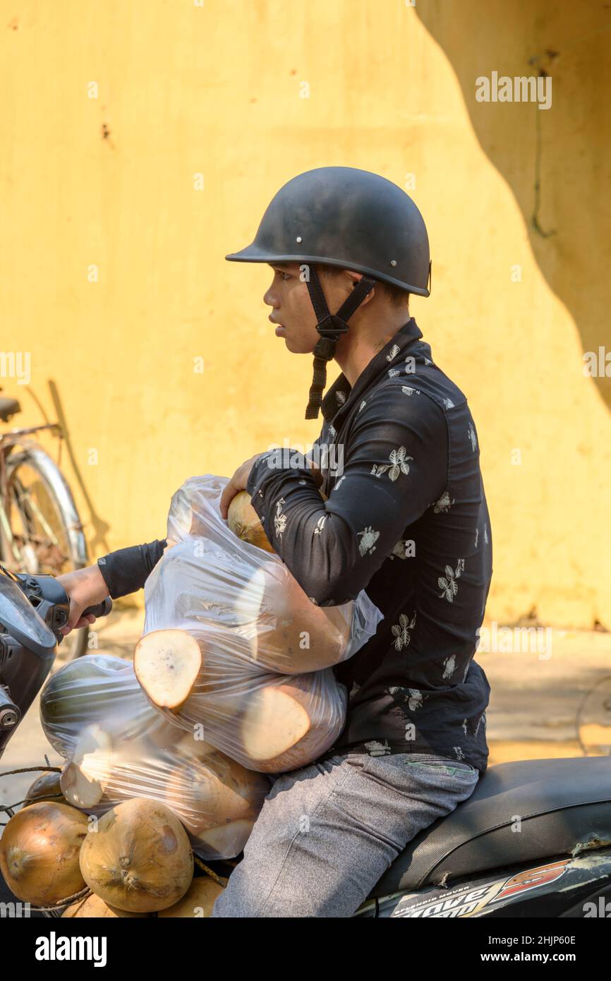 In Hoi an, Provinz Quang Nam, Zentralvietnam, Südostasien, fährt ein junger Vietnamese auf einem mit Kokosnüssen beladenen Motorrad Stockfoto