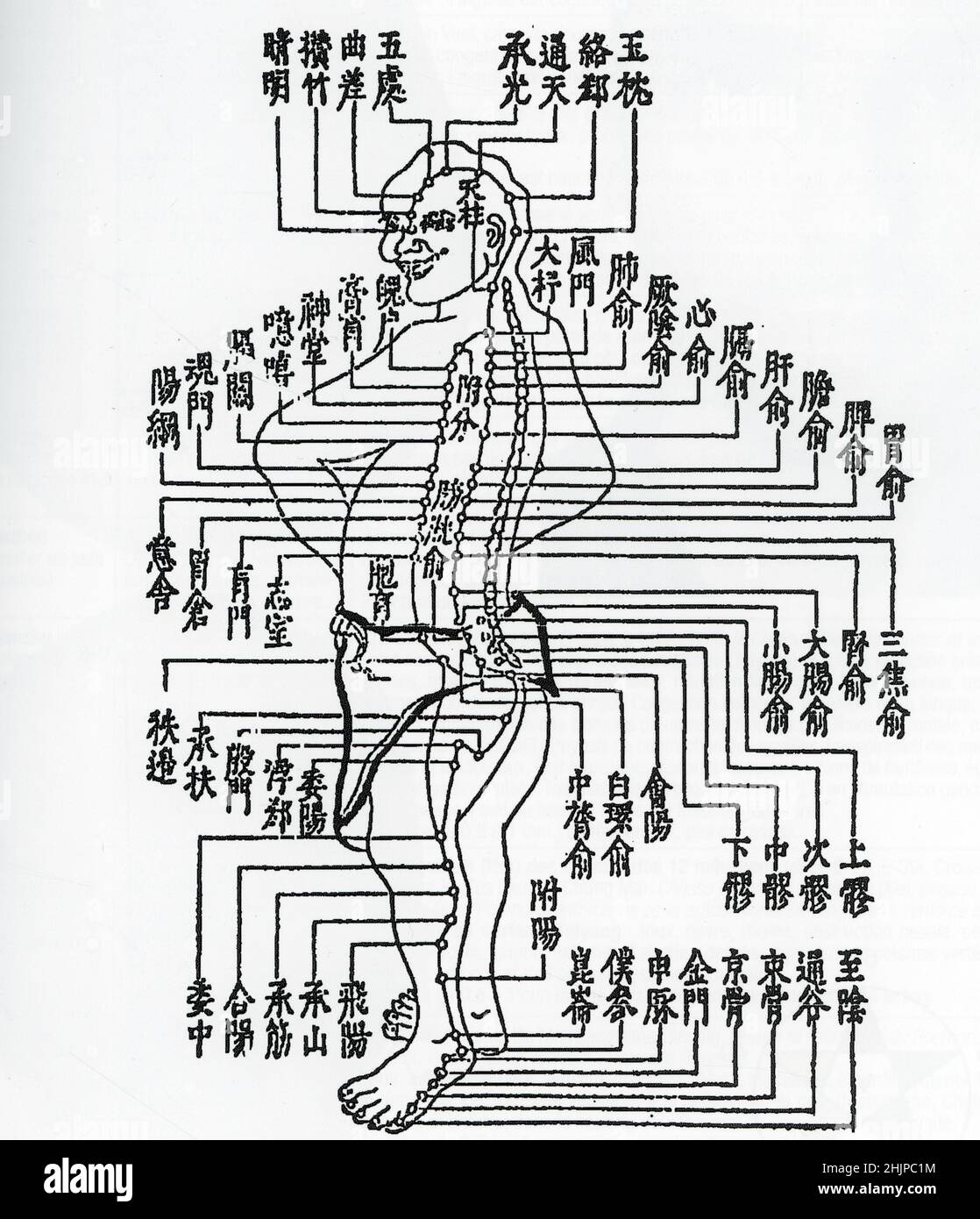 Medecine traditionelle Chinoise (MTC) : vue du trajet et des Points du meridien d'Akupunktur de la Vessie (traditionelle Chinesische Medizin (TCM): Blick auf den Pfad und die Punkte des Akupunkturmeridians der Harnblase) Dessin Tire de 'compendium d'Akupunktur et moxibustion' de Jang Jizhou Collection privee Stockfoto