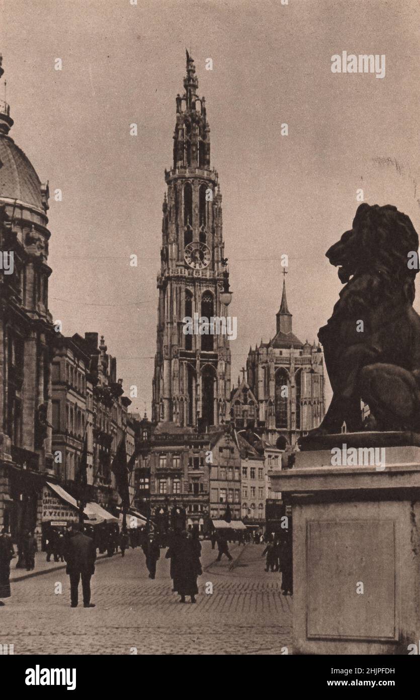 Diese beeindruckende Aussicht auf den Kathedralenturm vom Quai Van Dyck aus gesehen. Der Löwe ist das nationale Emblem Belgiens. Antwerpen (1923) Stockfoto