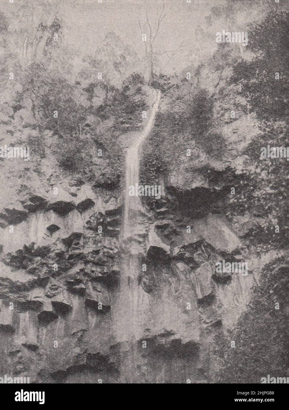 Quelle des Murray River in Killarney. Australien (1923) Stockfoto