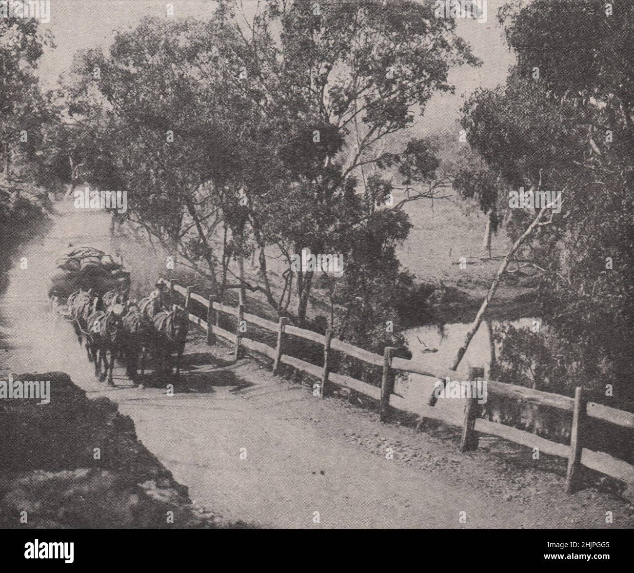 Korn auf einer Landstraße in New South Wales. New South Wales. Australien (1923) Stockfoto