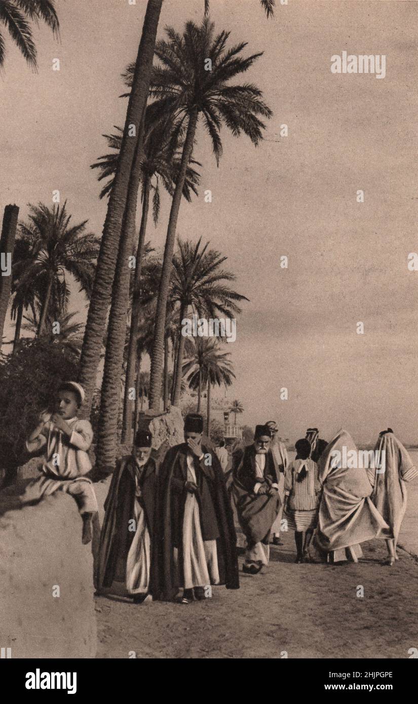 Bagdad. Kühle Brisen, die am Wasser spielen, machen das palmengesäumte Vorland des Tigris unterhalb der Stadt zu einer beliebten Abendpromenade. Irak (1923) Stockfoto