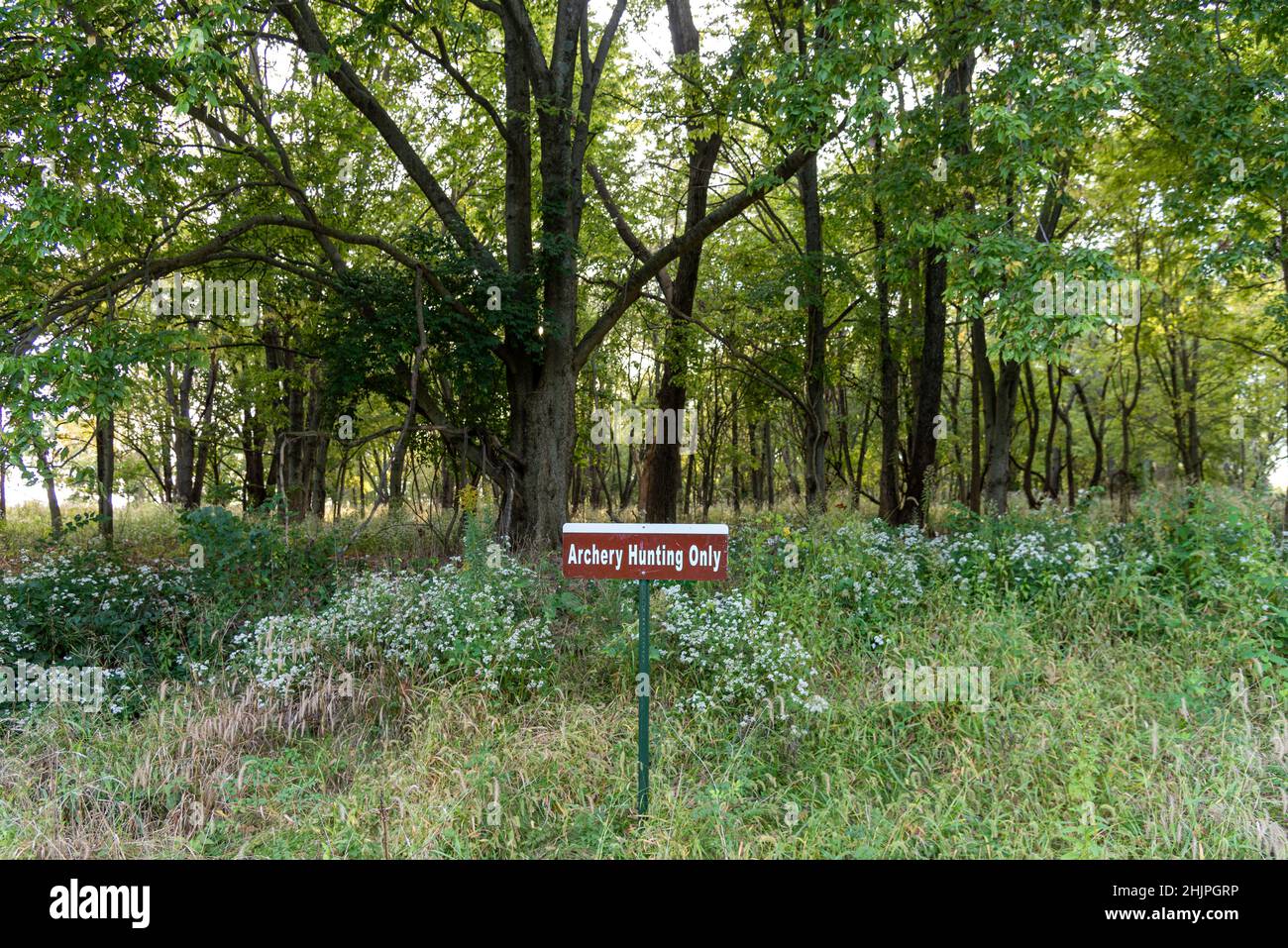 Auf einem Schild in einem Waldgebiet steht nur Bogenschießen. Stockfoto