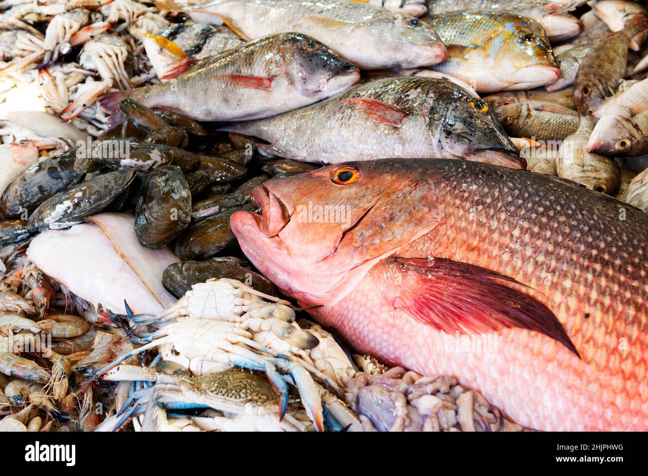 Nahaufnahme eines Schnappers am Roten Meer auf einem Fischmarkt in Ägypten Stockfoto