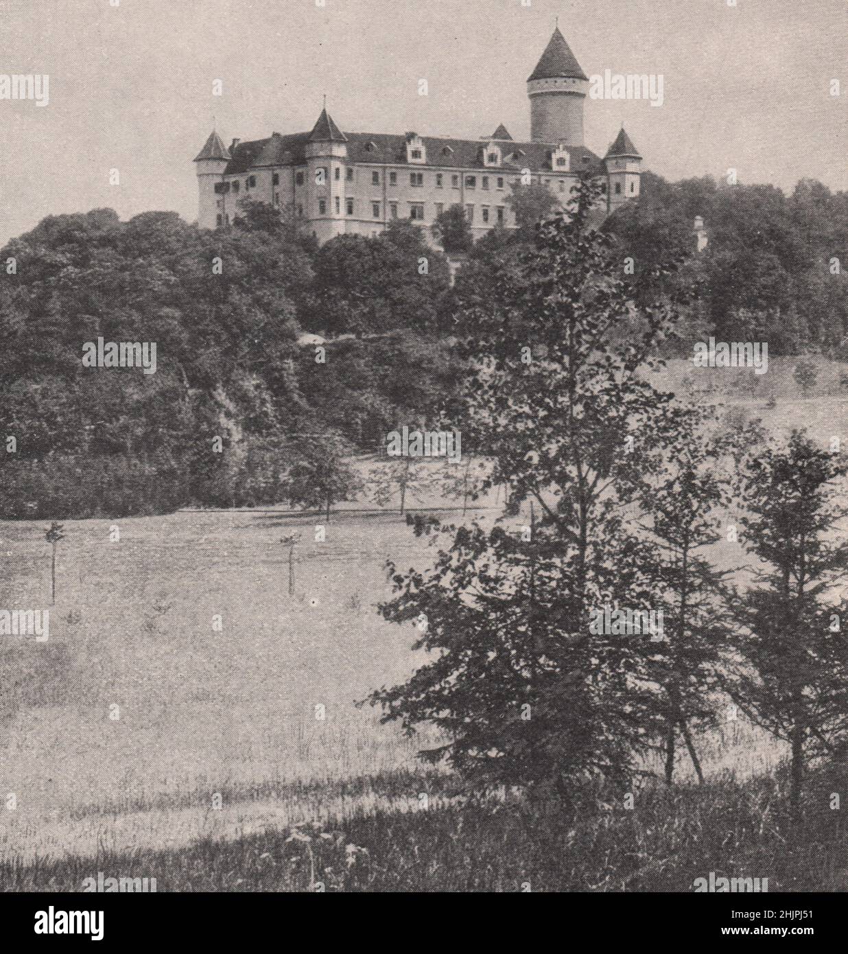 Schloss Konopischt: Eines der historischen Denkmäler Böhmens. Tschechische Republik (1923) Stockfoto