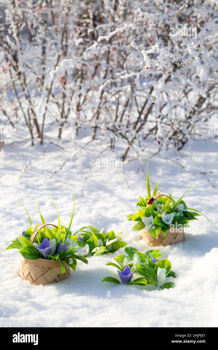 Die ersten Frühlingsblumen sind Schneeglöckchen in Form von handgefertigten Seifen-Mini-Körben im Schnee an einem sonnigen frostigen Tag. Stockfoto