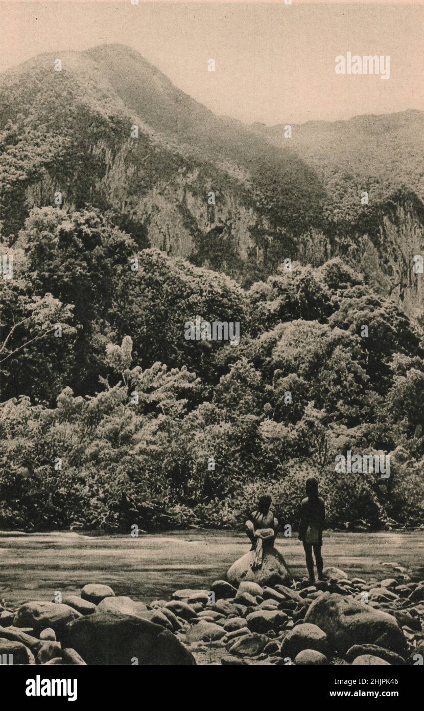 Der Mount Mulu in Sarawak ist eine Kalksteinmasse, durchbohrt von Höhlen, wo viele Tiere Zuflucht vor der Mittagshitze finden. Malaysia. Borneo (1923) Stockfoto